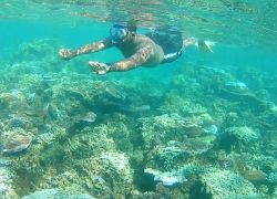 Palolo Deep Marine Reserve in Apia