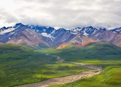 Denali National Park in Alaska