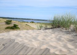 Cape Cod National Seashore in Usak