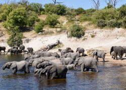 Maun Game Reserve in Maun