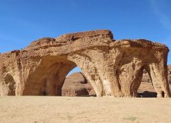 Chad Basin National Park in Mongo
