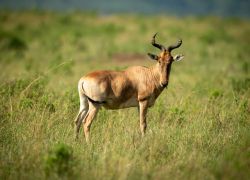 Kamuku National Park in Kaduna