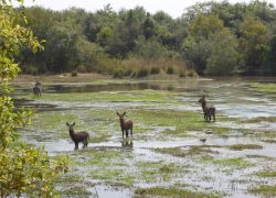 Yankari National Park in Bauchi