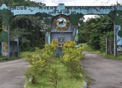 Cross River National Park in Cross River