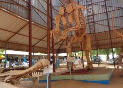 Musee National du Niger (National Museum) in Niamey