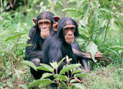 Bafing National Park in Southern Mali