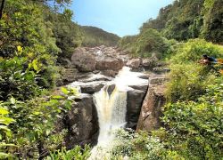 Ranomafana National Park in Ranomafana