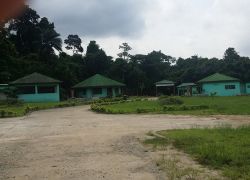 Banco National Park in Abidjan