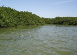 Niumi National Park in Niumi