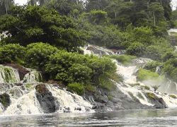 Ivindo National Park in Libreville