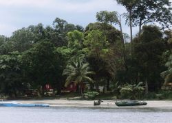 Akanda National Park in Libreville