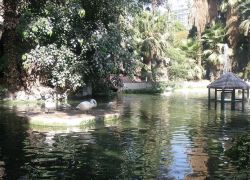 Giza Zoo in Cairo