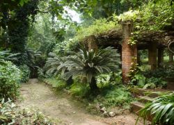 Kisantu Botanical Gardens in Kisantu