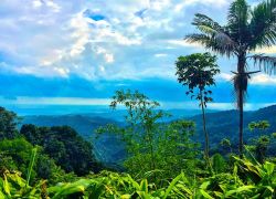 El Yunque Rainforest (Puerto Rico) in 