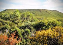Lesueur National Park in Perth