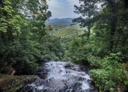 Collins Mountain(Dahlonega) in Georgia