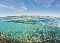 Ningaloo Marine Park