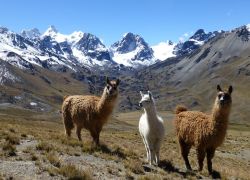 Condoriri in La Paz