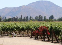 Pomaire and Maipo Valley in Santiago
