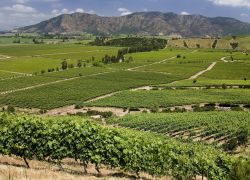 Colchagua Valley in Colchagua