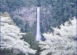 Nachi Falls in Nachikatsuura