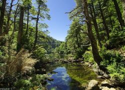 Huerquehue National Park in Araucania