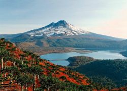 Conguillio National Park in Araucania