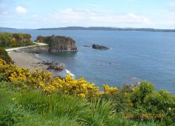 Chiloe National Park in Los Lagos