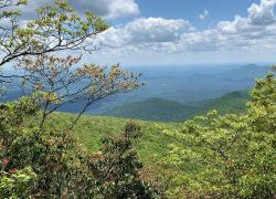 Alerce Andino National Park in Los Lagos