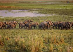 Liwonde National Park
