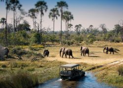 Chobe National Park