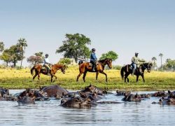Okavango Horse Safari in Okavango Delta