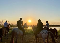 Nyika Horse Safaris in Lilongwe
