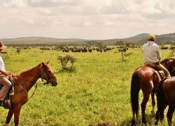 Borana Horse Safari in Borana