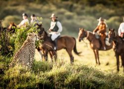Offbeat Horse Safaris in Masailand