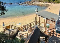 Little Bay Beach in New South Wales