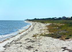 Alligator Point Beach in Florida (Fl)