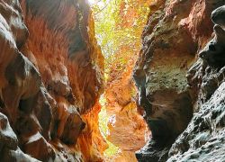 Robber's Cave in Dehradun