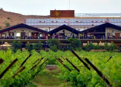 Sula Vineyards in Nashik