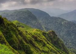 Parunthumpara in Periyar