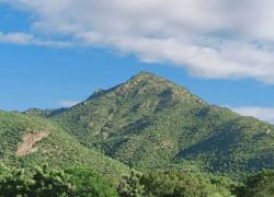 Tiruvannamalai Hill in Tiruvannamalai