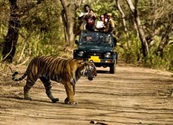 Rajaji National Park in Rishikesh