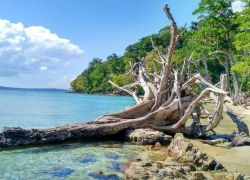 Chidiya Tapu in Andaman