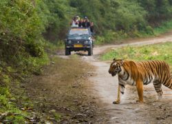 Jim Corbett National Park in Nainital