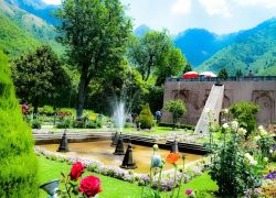 Chashme Shahi in Srinagar