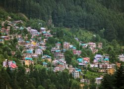 Old Manali in Manali