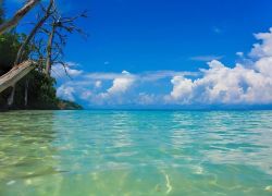 Elephant Beach