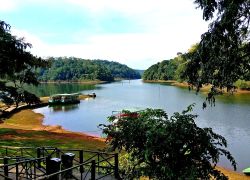 Kumily in Thekkady