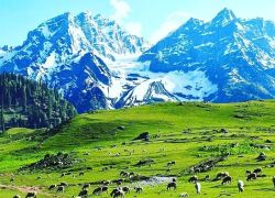 Zoji La Pass in Sonamarg