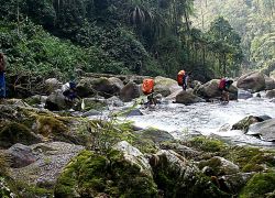 Neora Valley National Park in Kalimpong